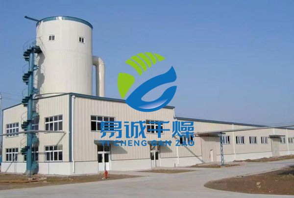 ZLPG系列中药浸膏专用喷雾干燥机